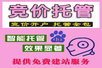 案例解读：SEM推广代运营公司如何助力品牌崛起